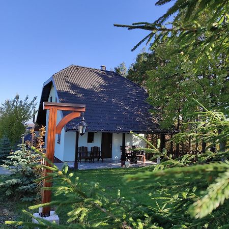 Vila Hajdi Planina Tara Bajina Basta Exterior foto
