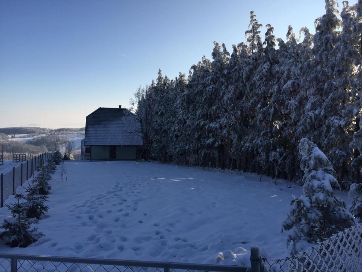 Vila Hajdi Planina Tara Bajina Basta Exterior foto