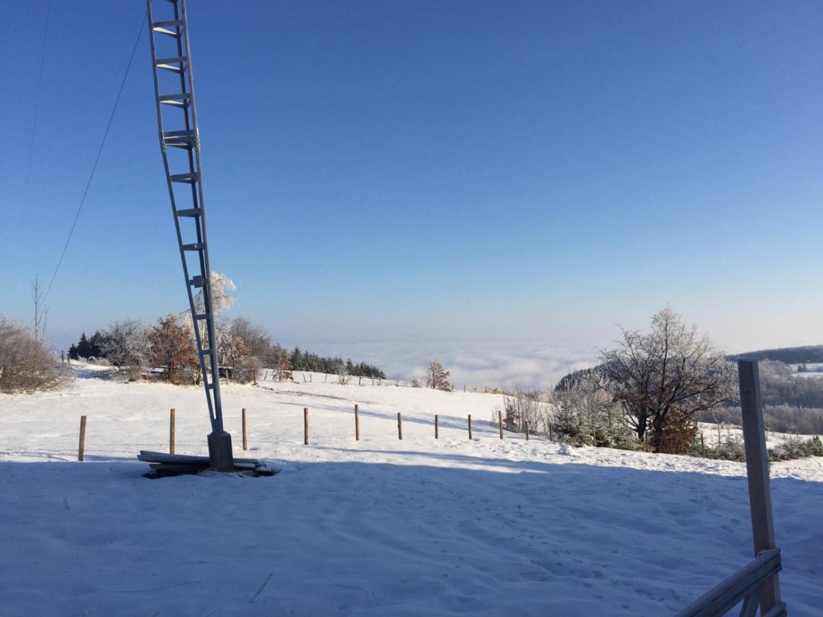 Vila Hajdi Planina Tara Bajina Basta Exterior foto